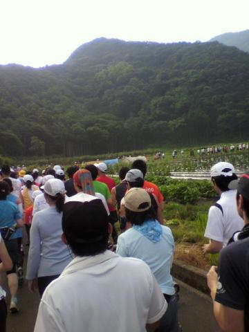 ノンビリした田園風景に、ランナ～の行列～この辺も、湘南さんのお陰で、雲が頑張ってて、ずいぶん涼しくて、ほんとに助かった～ありがとう、湘南さん！