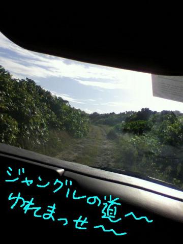 またね、ROTA♪