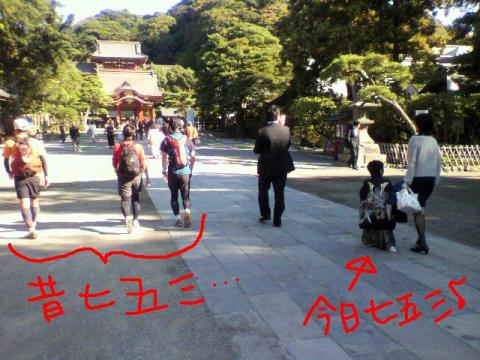 鎌倉トレイル日本晴れ~