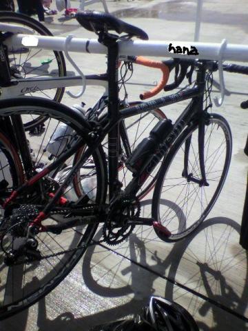 はなの愛車。名前検討中。