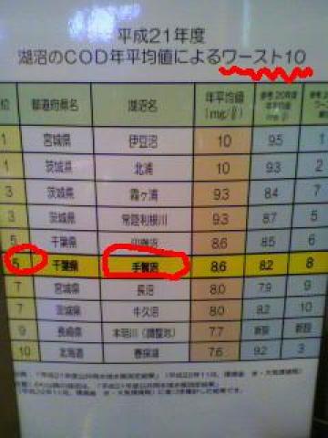 そして、こんな感じで・・・泳ぎたく・・・なり・・・ま・・・・・・・・・・・・zzz
