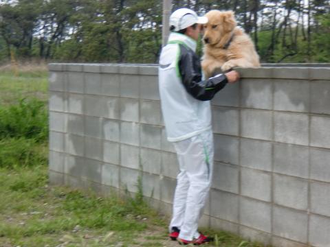 見つめあう二人？犬