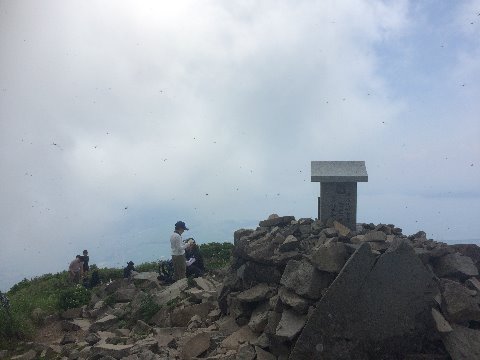 宝の山の磐梯山山頂　多くのトンボが飛んでいた。