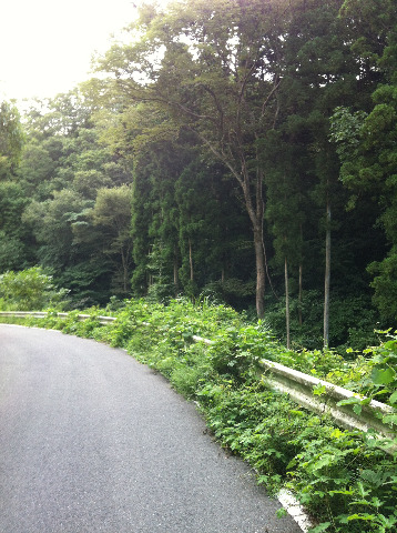 山コースの坂道