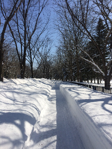 もう桜が咲いている地方もあるのに、札幌ではまだこんな感じです。札幌のランニングの聖地真駒内公園周辺の景色です。（我が家から4kmくらいのところにあります）