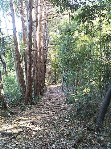 ビブラムで土の感触がとっても気持ちよかった。
