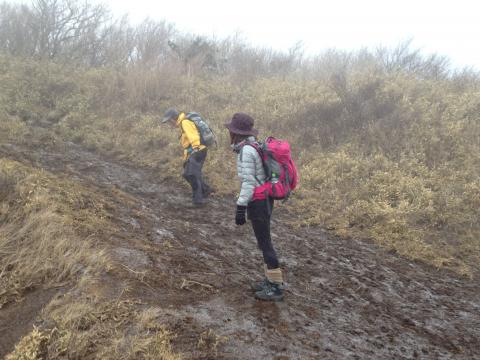 ガスもかかって、底は霜。K嬢は湘南さんと5回一緒に登山しているが晴れたのは一度だけとのこと。