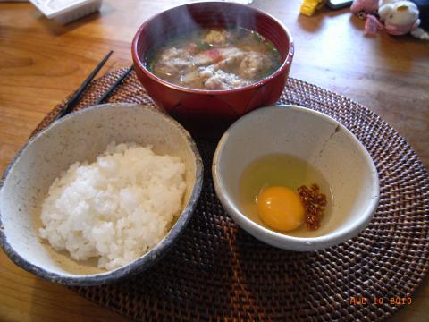 平凡な玉子かけご飯ですが数年ぶりです。
炭水化物に機敏に反応してすぐ太るため、平日は取得せず、いつも、長く走る週末の2食だけ(土日の昼だけ)炭水化物を食べるのですが、どうしても好きなラーメンになってしまい、日本人の基本食の白いお米を食べることがありませんでした。
故郷のあきたこまちと新鮮生なまたまご、女房手作りラー油、鰯のつみれ汁で数年ぶりに味わいました。
ああ、日本人でよかった。もちろん一膳ではすまなかったため本日も20キロ走りました。