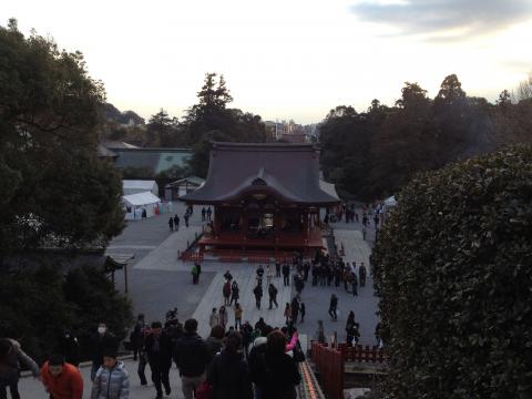 鎌倉鶴岡八幡宮にて遅過ぎる初詣。