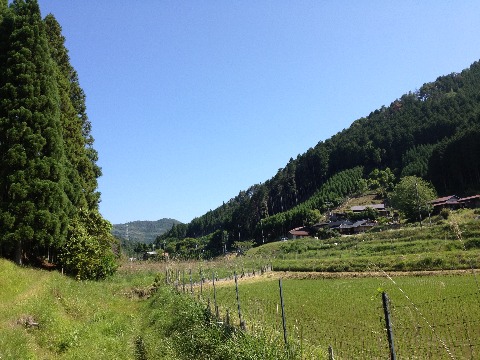 京都北部の田園風景。