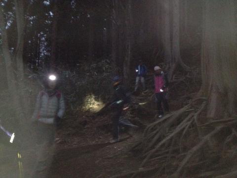 下山は「ナイトセッション」となりました。「歩くのだいすきー。暗い道」子供のようにテンションは上がる。
買ったばっかりのヘッドライトが早速役立つ。やっぱり気まぐれさんのが一番明るかった。