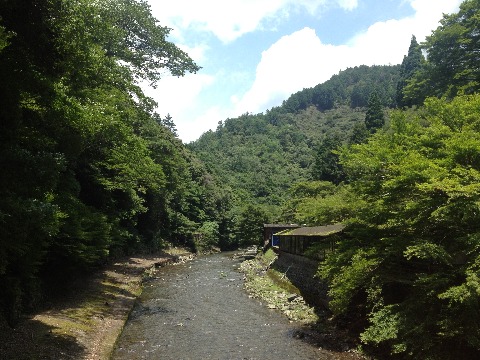 北山は少しは涼しいかと思ったけれど・・・・。でも涼しげな、素敵な景色。