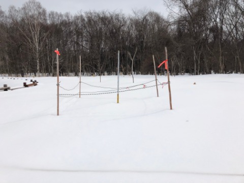 積雪ちょうど80ｃｍ　前回より+5ｃｍ