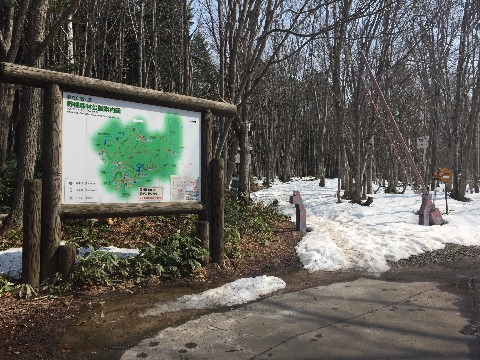 林の中の道はまだ雪に覆われています。