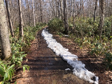 道端をいくか雪の馬の背を行くか悩ましい。