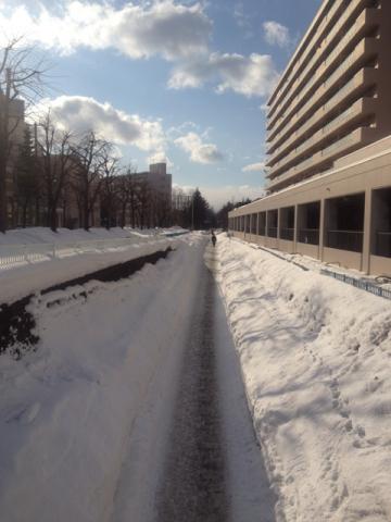いつも走っている白石自転車ロード。
札幌市内方面。右の建物は大谷地バスセンターです。