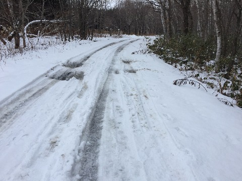 車が通る基線は圧雪状態で比較的走りやすい。