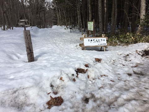 登満別の遊歩道入り口。　予想通り踏み固められた歩道はなくスキーの跡のみ。