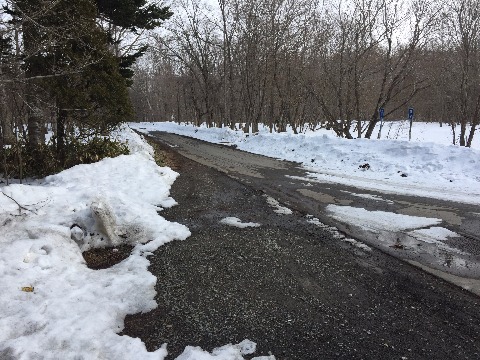 中央線から基線に。道は除雪がされところどころアスファルトも見える。登満別方面に進む。