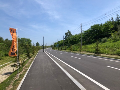 やや登り。　歩道もあるので安心。