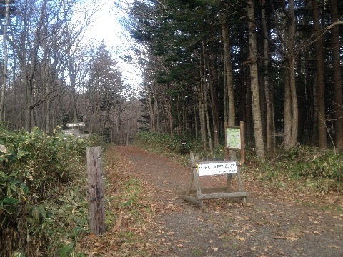 登満別入山口