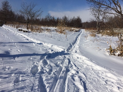 埋蔵文化センターに向かう記念塔連絡線（直進）は幅は狭いものの一見走りやすそうだが体がぶれると深い雪に足をとられる。