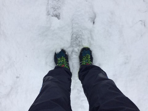 冬用シューズで初雪ランです。