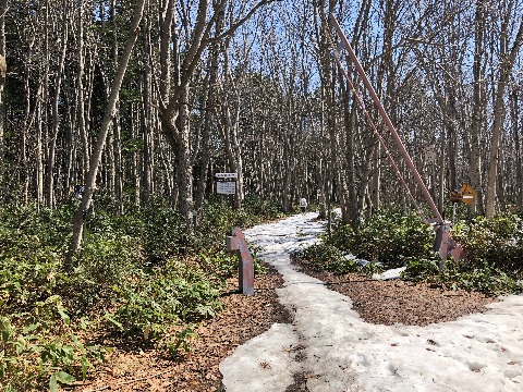 百年記念塔遊歩道。　走行はちょっと無理。