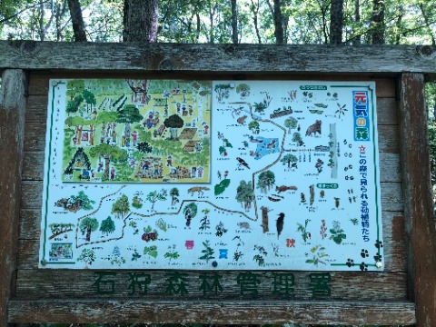 野幌森林公園原の池