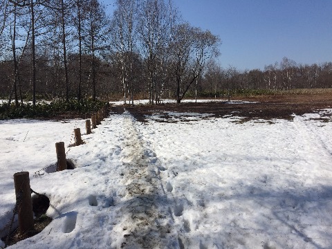 まだ冬が残っている道も・・