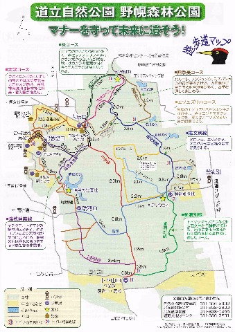 百年塔から瑞穂連絡線経由で大沢口。エゾユズリハコース経由で志文別線に出て大沢園地。桂コースから大沢口～百年塔へ