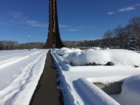 野幌森林公園内は雪が多いもののかろうじて路面が出ている一本道