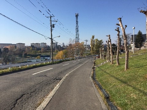 とうとう森林公園から脱出してしまいました。