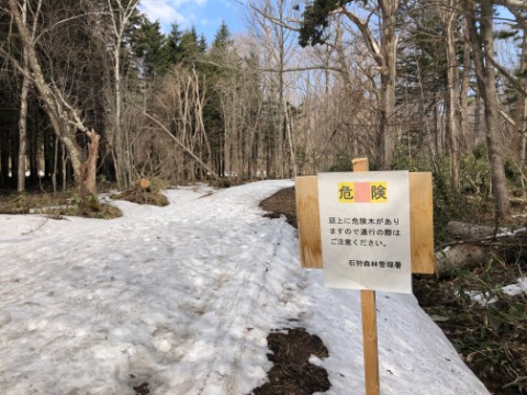 中央線の一部は倒木注意の張り紙が・・・。