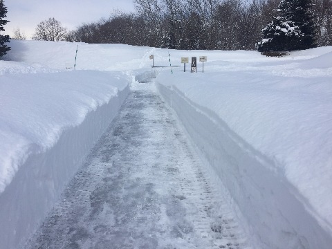 公園内の道はきれいに除雪されています。