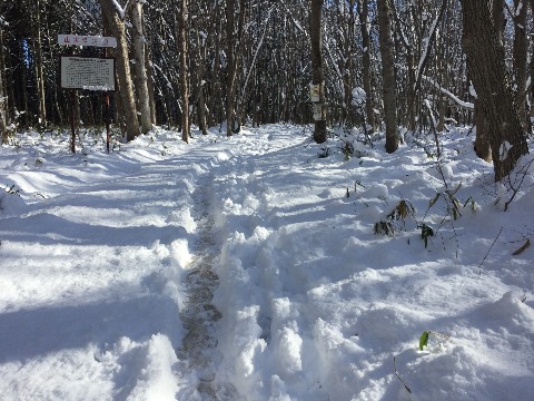 遊歩道は人一人通れる圧雪状態の一本道。