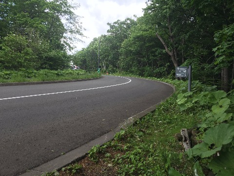 ひょっこりと北海道博物館近くの舗装路に出ました。