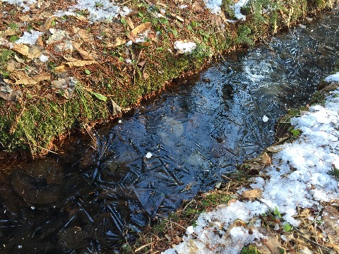 路肩の小川にも氷が張っている。