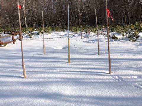 積雪も3日前と同じ20ｃｍでした。