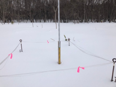 積雪65ｃｍほど。　前回よりも5ｃｍ少ない。