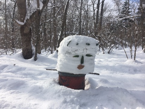 途中で見かけた雪だるま？