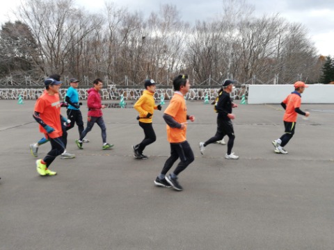 野幌森林公園を走る会11月定例走会