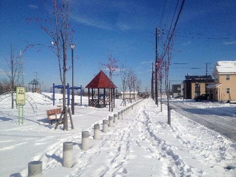 自宅近くの公園。完全な雪道で通常シューズでは無理。