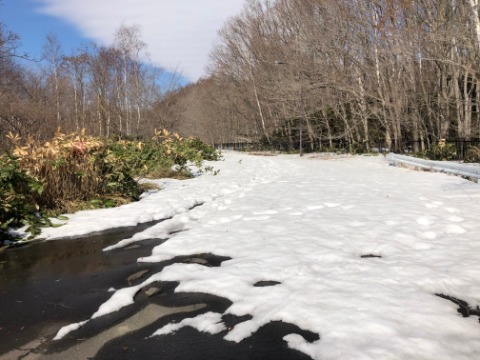小野幌川からの開拓の村駐車場に向かう上り坂は積雪で通行可だが走行不可。