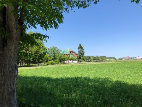 酪農学園園内を通り・・・。