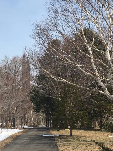 野幌森林公園内の舗装路。100年記念塔が林の向こうに見えます。