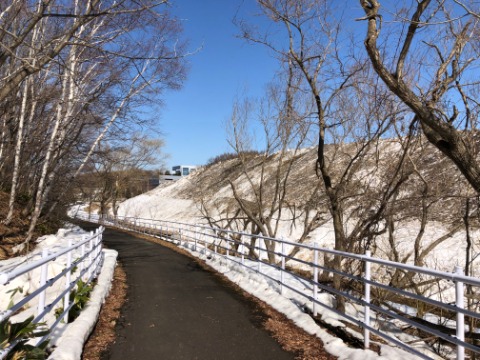 もみじ台通りからテクノパーク小野幌川への遊歩道は通行可。　右手の雪の丘は排雪された雪の塊。