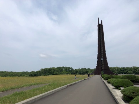 気温２２℃　微風。　遊歩道内は日差しがないので思ったより肌寒い。