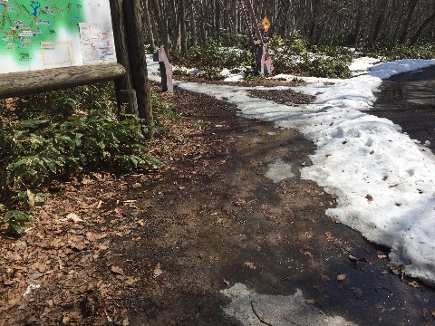 遊歩道の入り口は雪解け水が氾濫している箇所あり。