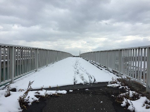 ただし橋の歩道は雪がそのままノーマルシューズでは雪がしみ込んでちょっと厳しい